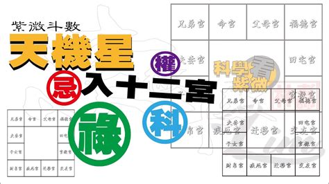 天機五行|紫微斗數講堂——天機化權